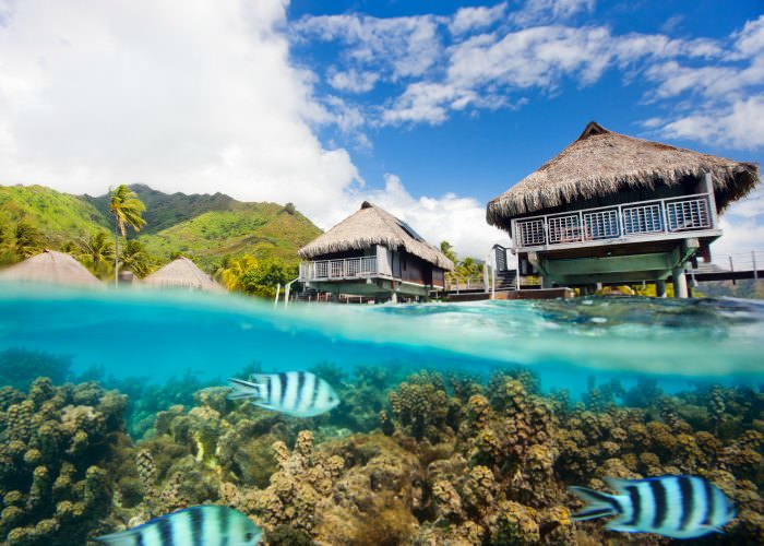 The South Pacific